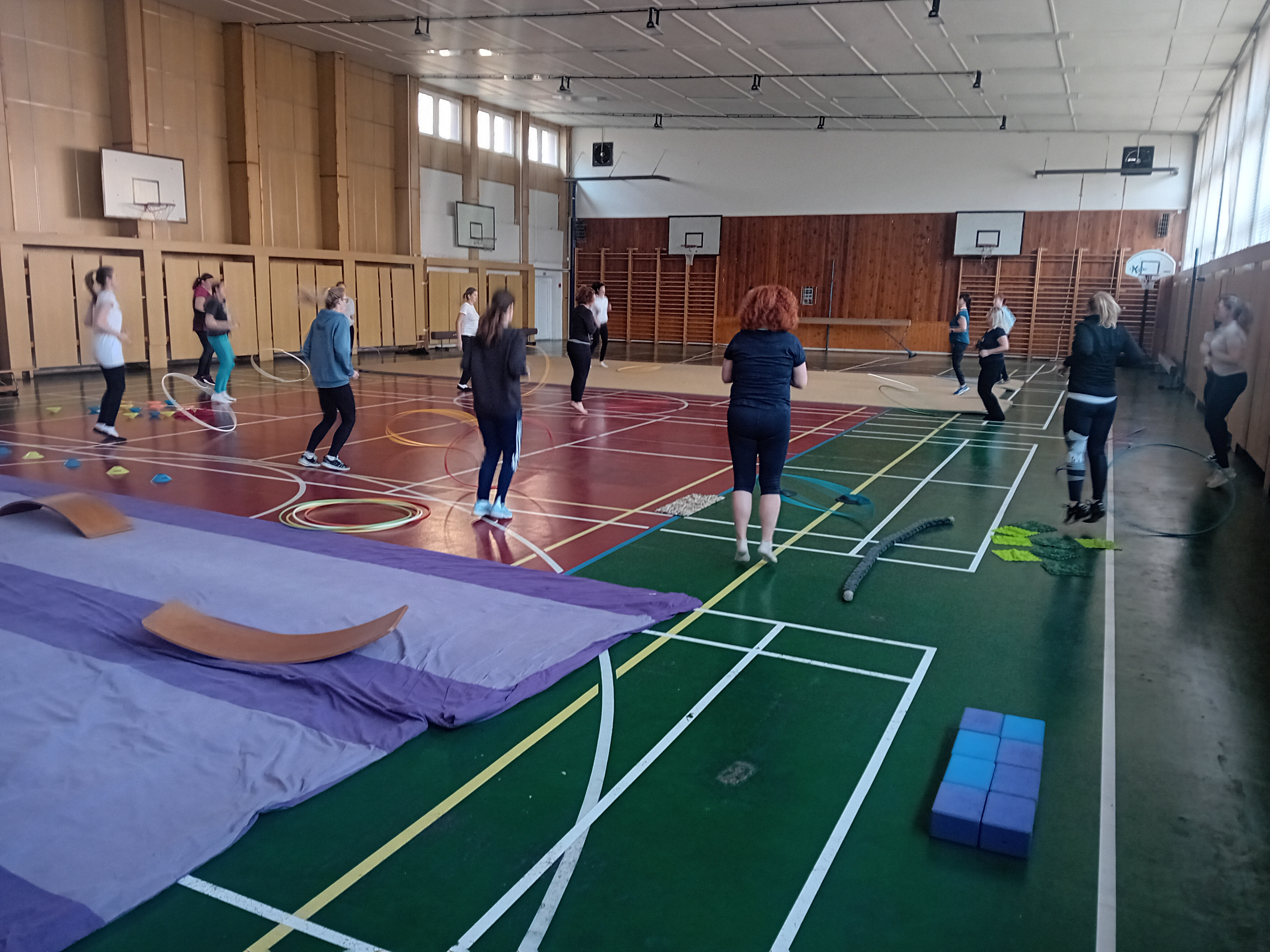 Spontánní a řízené pohybové aktivity v rozvoji pohybové gramotnosti dětí předškolního věku – Spontánní pohyb není "neukázněnost", ale projev biologické potřeby předškolního dítěte