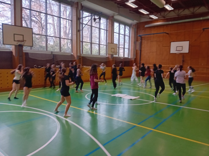 Rozvoj základní pohybové gramotnosti dětí předškolního věku