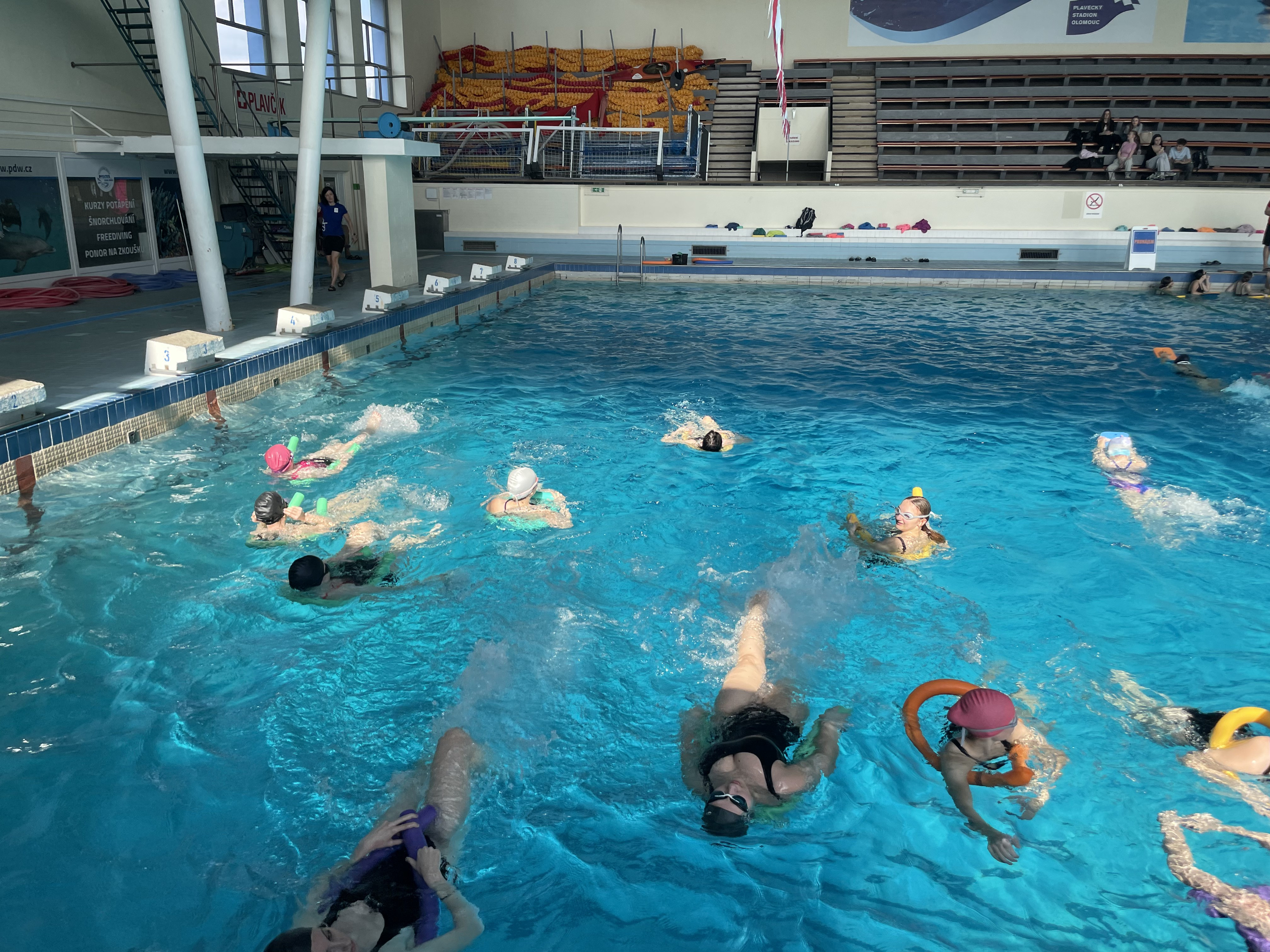 Rozvoj základní pohybové gramotnosti dětí předškolního věku