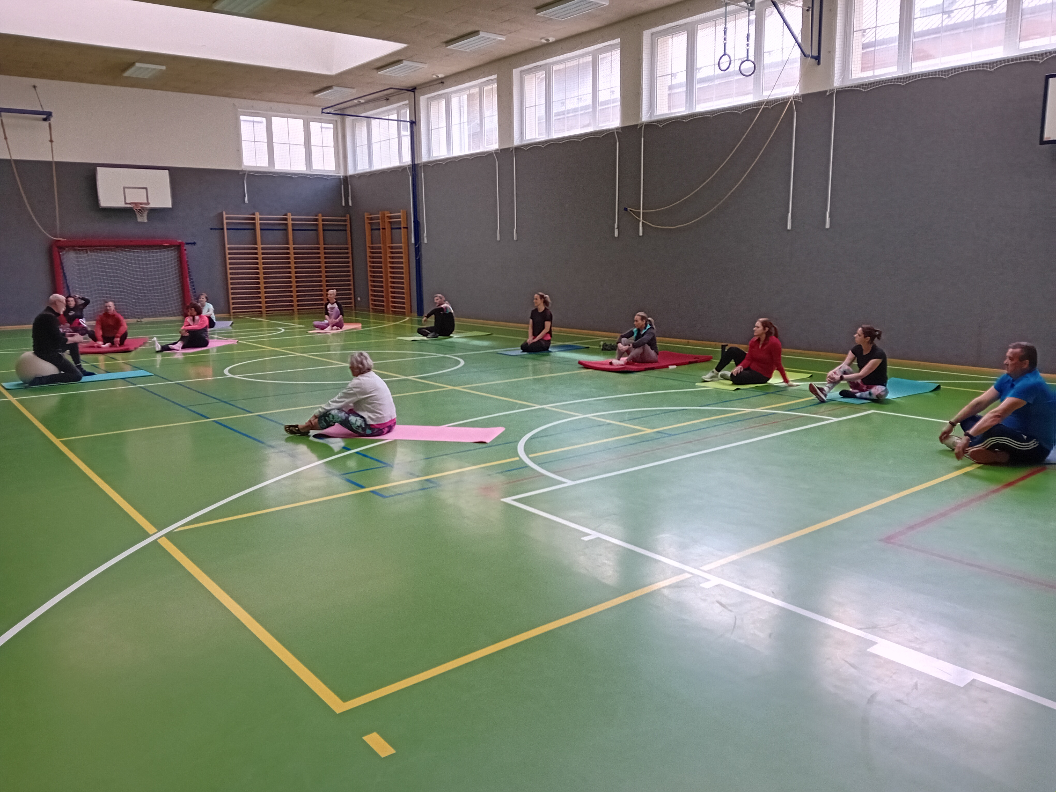 Power jóga a její využití v kondičním cvičení ve školních i mimoškolních pohybových aktivitách.