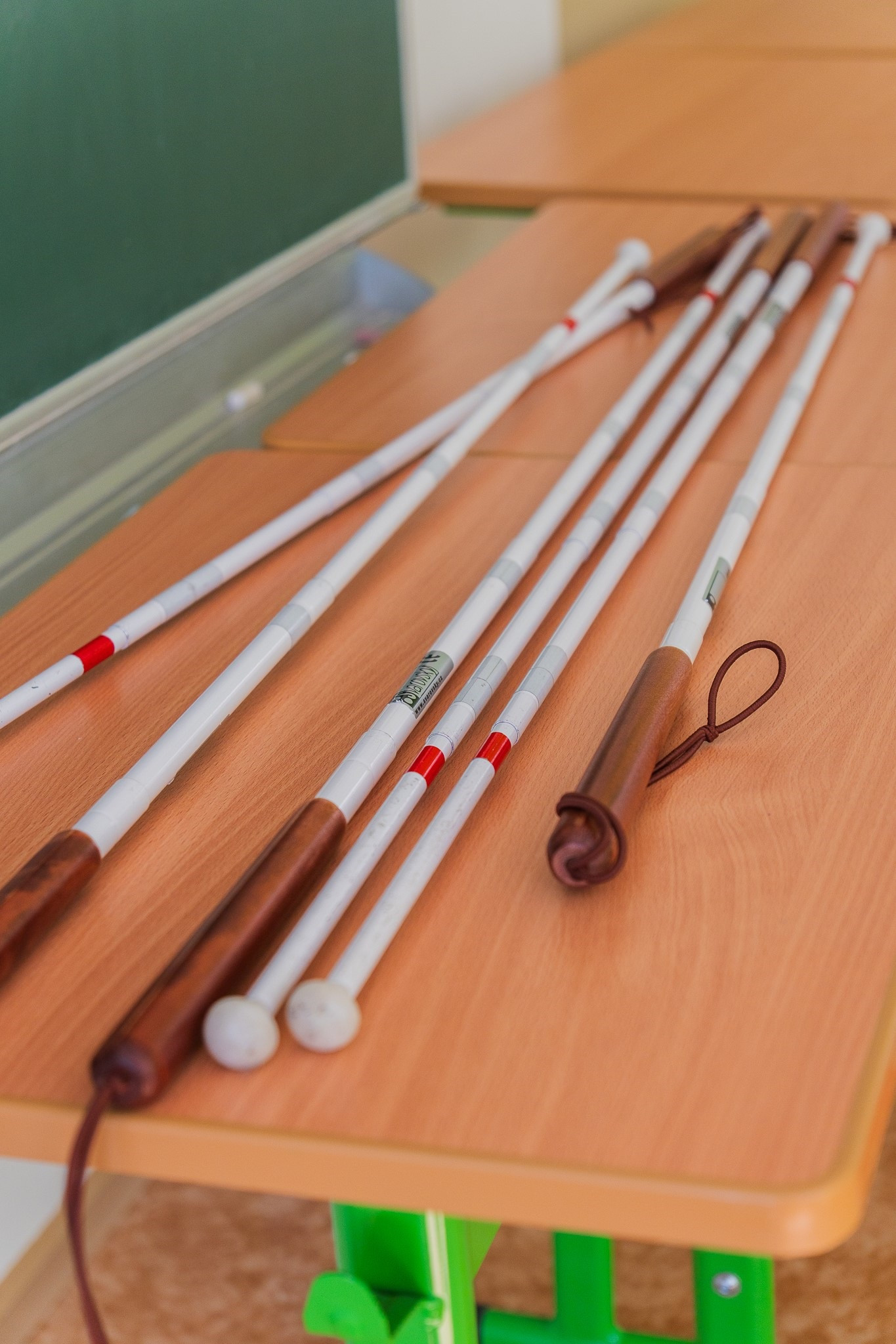 „Speciální den“ na Gymnáziu Otto Wichterleho v Prostějově