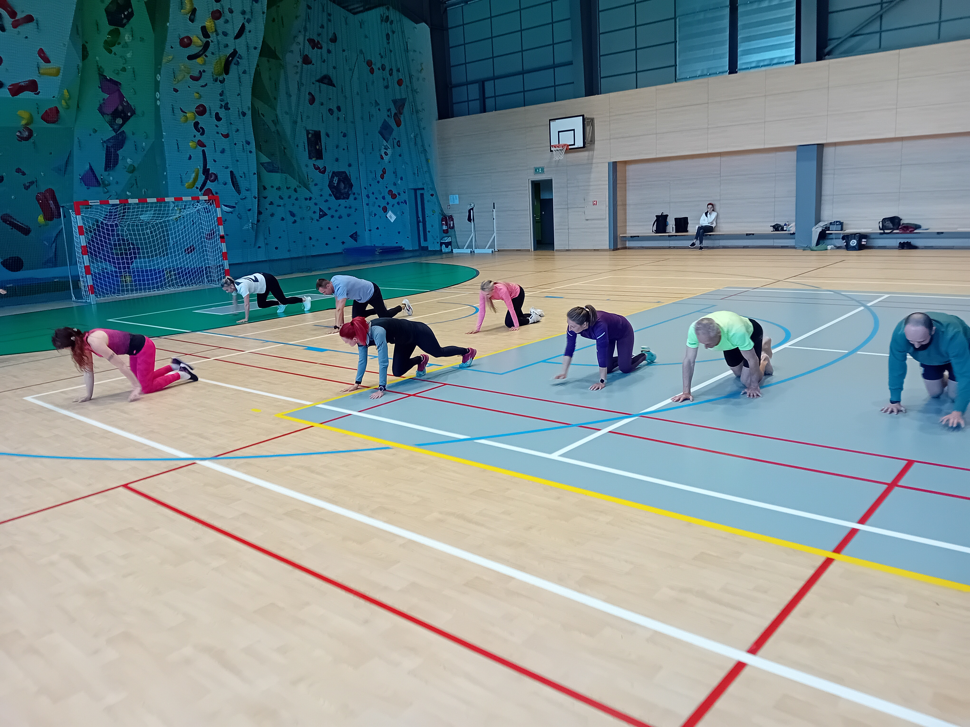 „Intervalové kondiční cvičení v rozvoji pohybové gramotnosti žáků, jejich aplikace  v současné školní tělesné výchově“