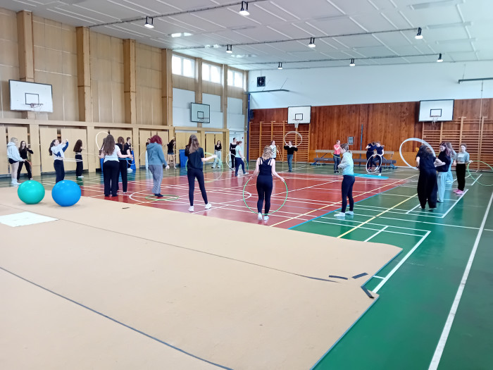 Spontánní a řízené pohybové aktivity v rozvoji pohybové gramotnosti dětí předškolního věku v Přerově