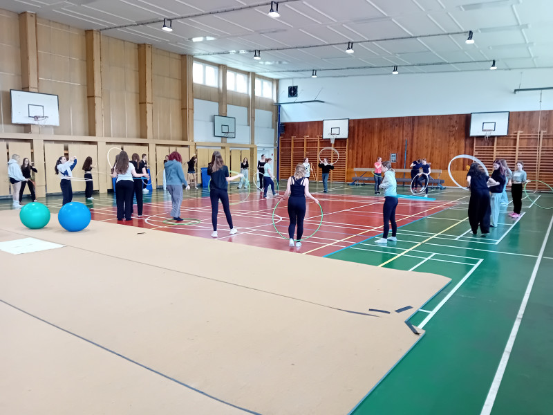 Spontánní a řízené pohybové aktivity v rozvoji pohybové gramotnosti dětí předškolního věku v Přerově