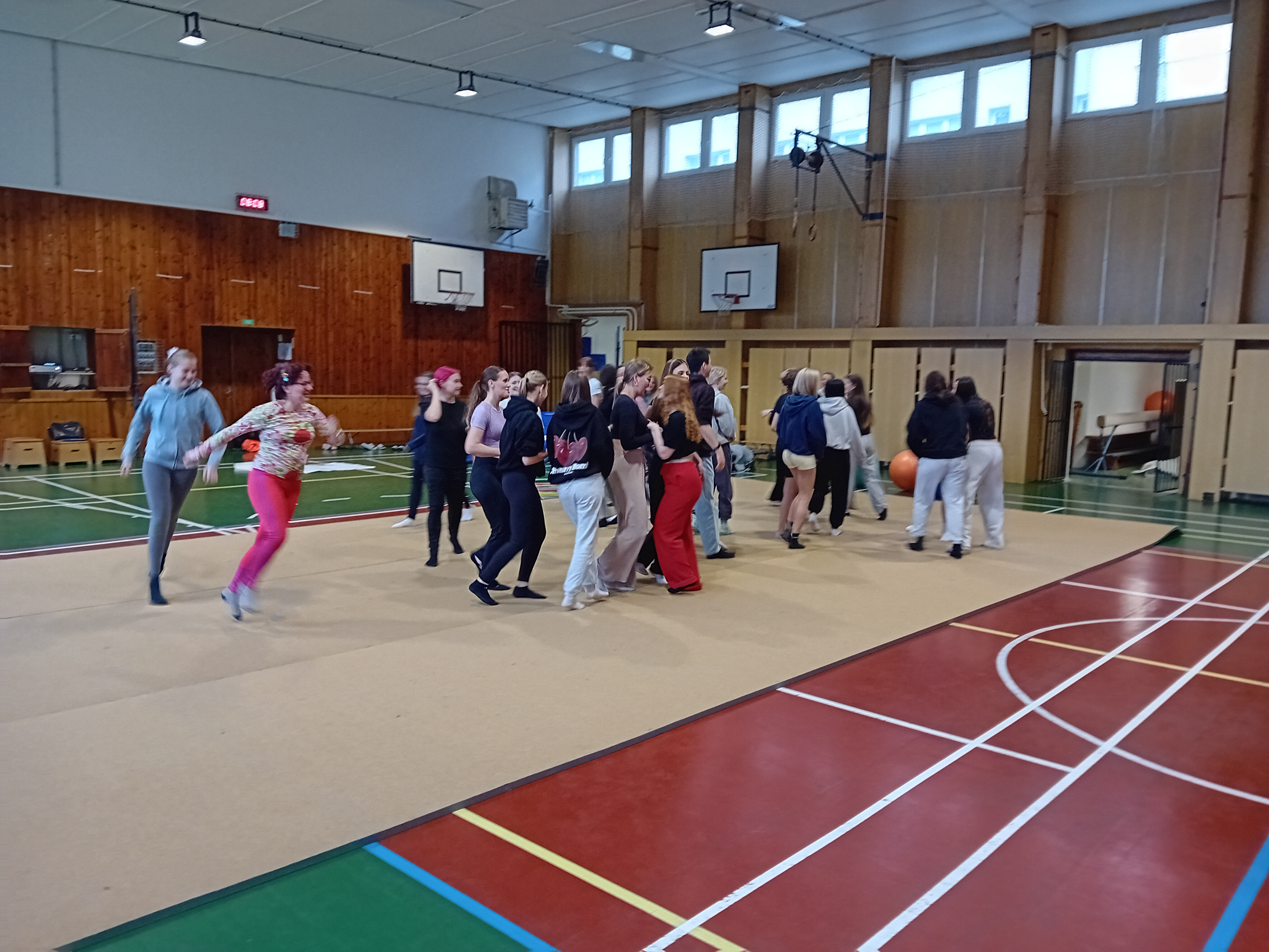 Spontánní a řízené pohybové aktivity v rozvoji pohybové gramotnosti dětí předškolního věku v Přerově