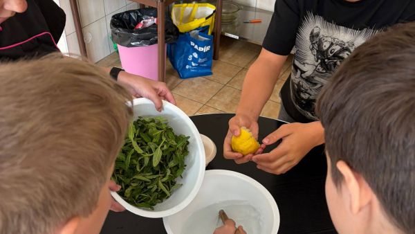 Workshopy: „Jarní práce na poli a v zahradě“ a „Léčivé rostliny v kuchyni“