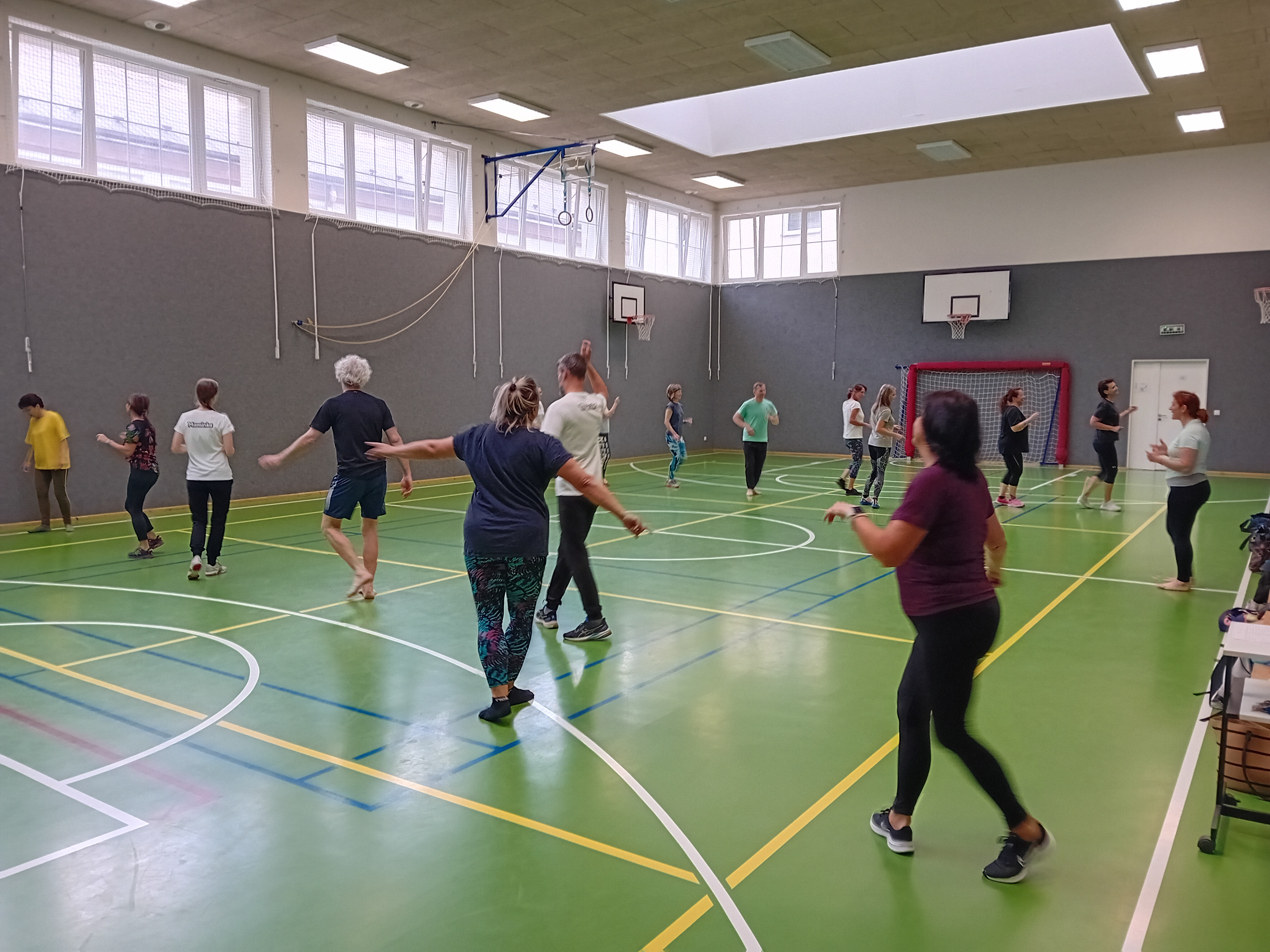 Aerobní a rytmická kondiční cvičení nejen v jednotkách školní tělesné výchovy