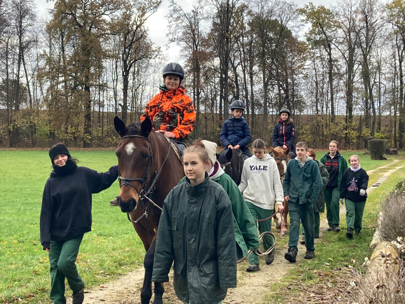 Workshopy „Chov koní a základy jezdectví“