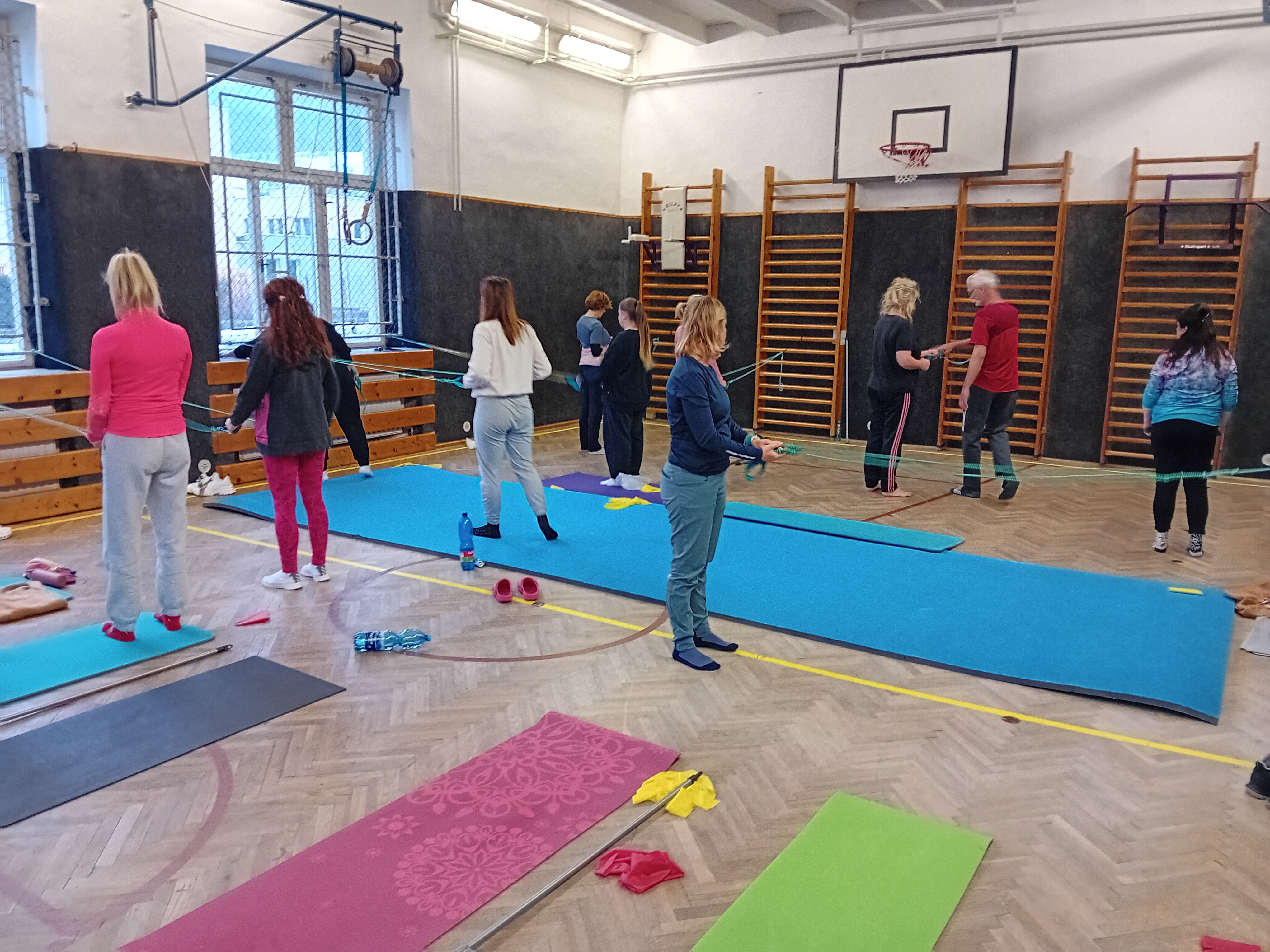 Role psychomotoriky v pohybové výchově