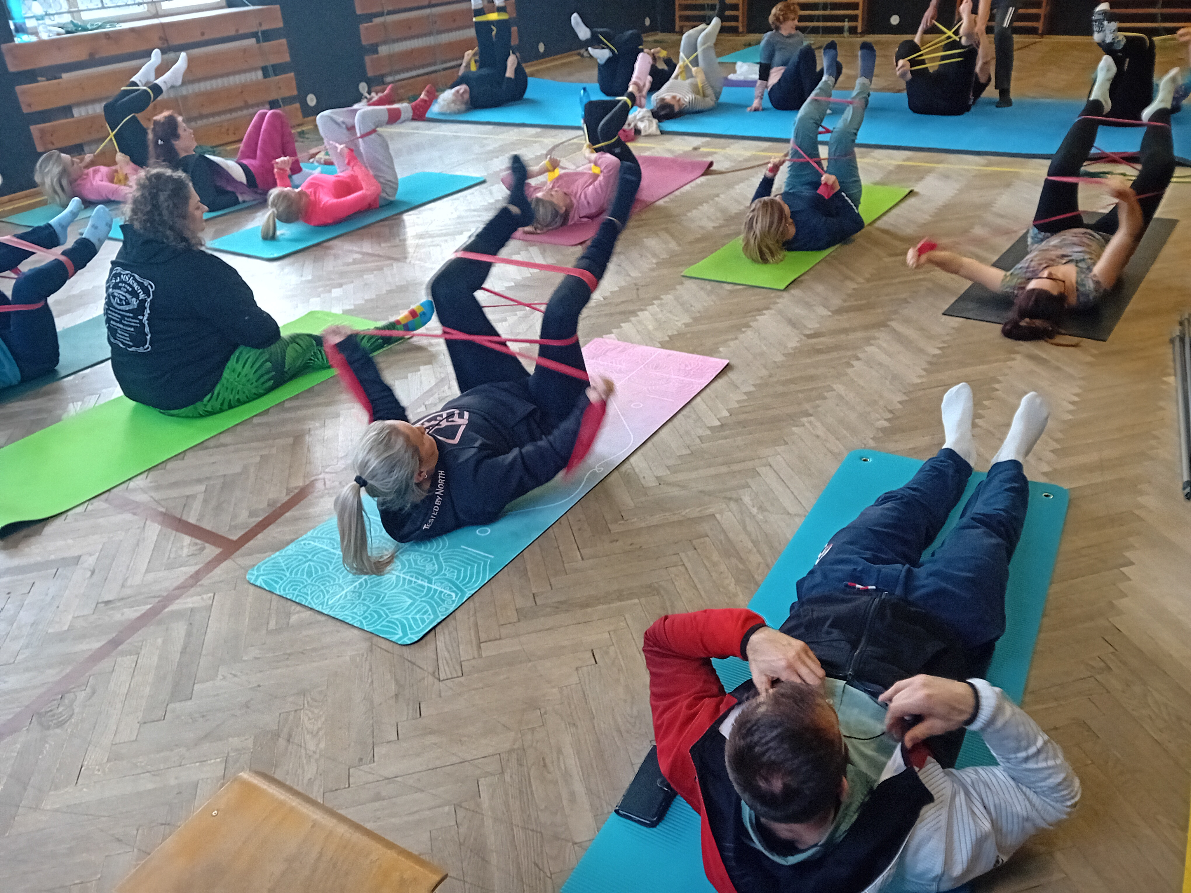 Role psychomotoriky v pohybové výchově