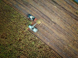 Zemědělství a chovatelství